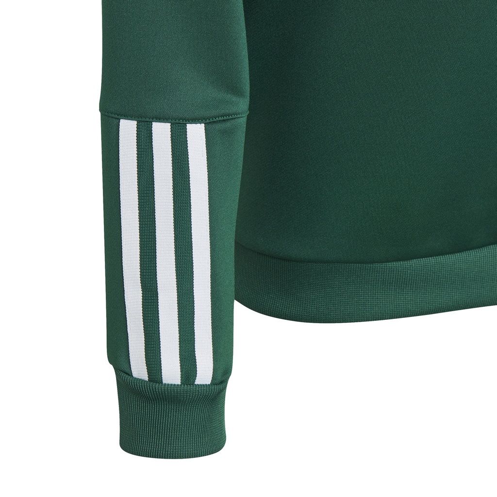 adidas Tiro 23 Competition Kapuzenpullover grün Kinder