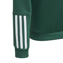 adidas Tiro 23 Competition Kapuzenpullover grün Kinder