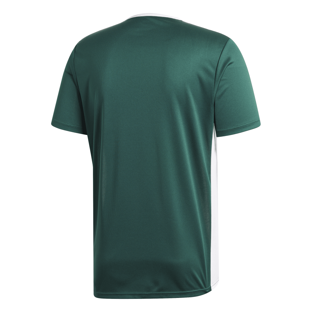 adidas Entrada 18 Trikot grün