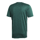 adidas Entrada 18 Trikot grün