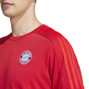 FCB DNA TEE