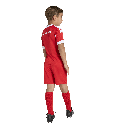 adidas FC Bayern München 25/26 Mini-Heimausrüstung rot Kinder  