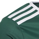 adidas Entrada 18 Trikot grün Kinder  