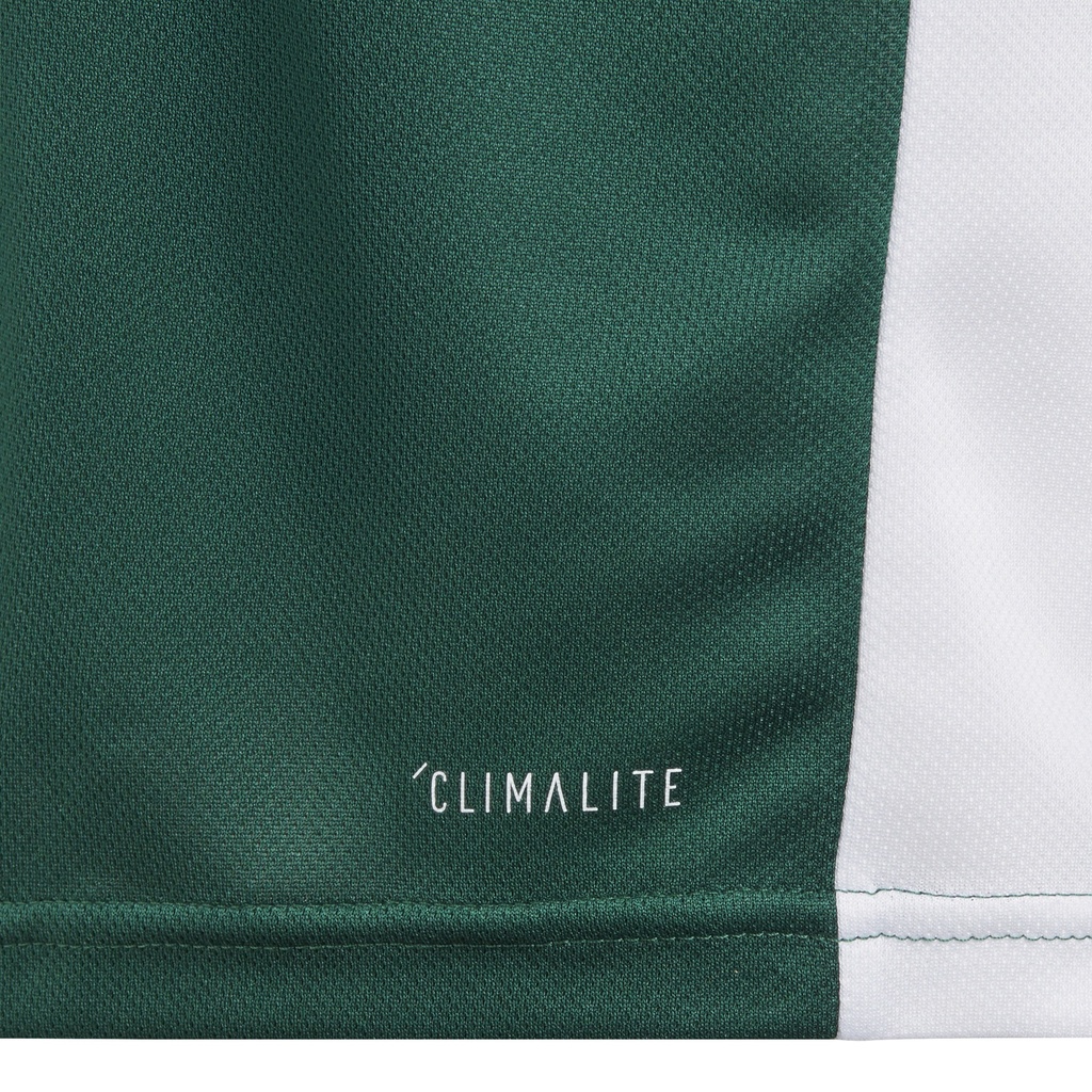 adidas Entrada 18 Trikot grün Kinder  