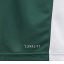 adidas Entrada 18 Trikot grün Kinder  