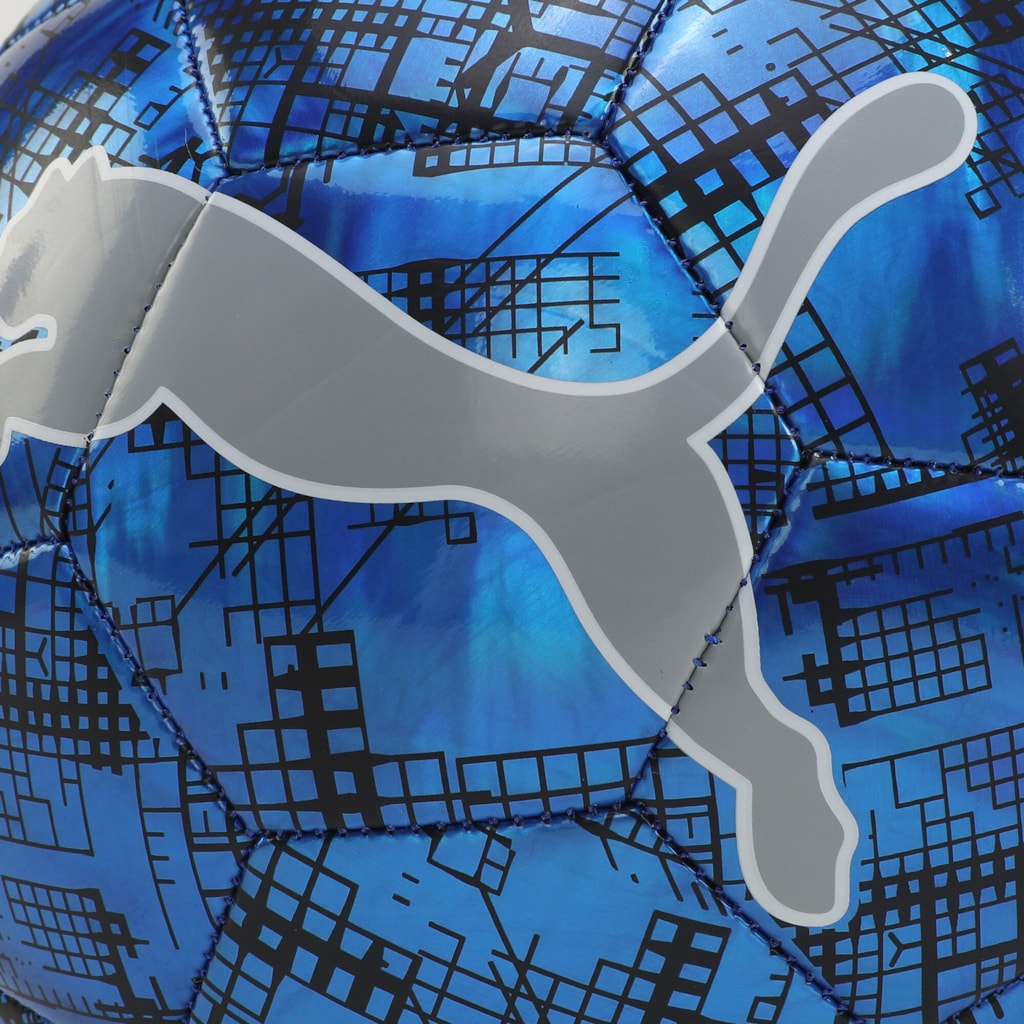 Puma Cup Graphic Fußball blau