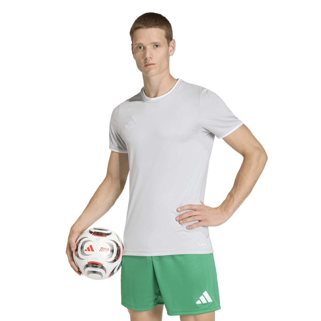 adidas Entrada 26 Trikot grau 