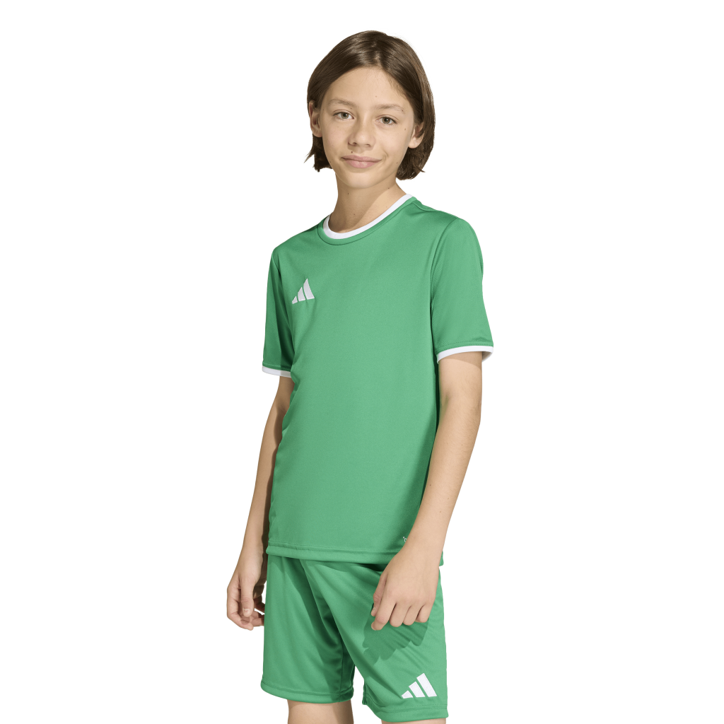 adidas Entrada 26 Trikot grün Kinder