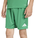 adidas Entrada 26 Shorts grün Kinder 