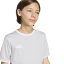 adidas Entrada 26 Trikot grau Kinder