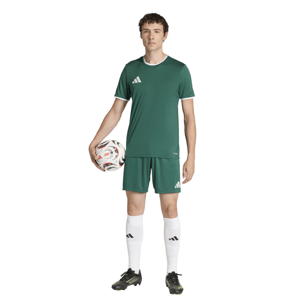 adidas Entrada 26 Trikot grün 