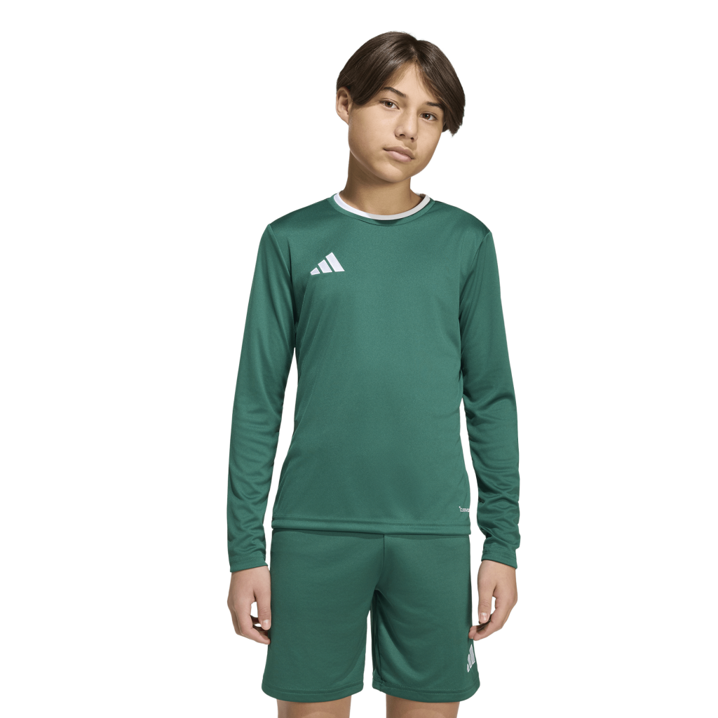 adidas Entrada 26 Trikot Langarm grün Kinder