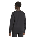  adidas Entrada 26 Sweatshirt schwarz Kinder