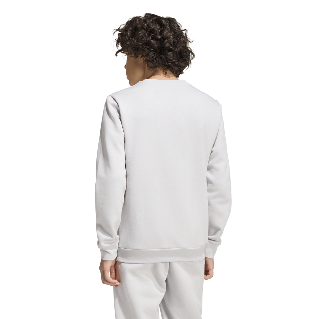  adidas Entrada 26 Sweatshirt grau Kinder