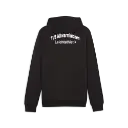 TuS Altwarmbüchen Puma teamGOAL Casuals Kapuzenjacke schwarz 