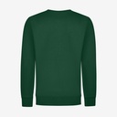 FHB TIMO Sweatshirt grün