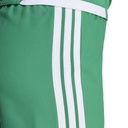 adidas Tiro 26 Competition Match Day Shorts grün Damen 