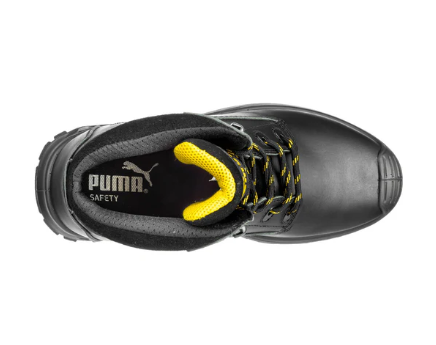 BORNEO MT MID S3 WR M AN CI HI HRO SRC