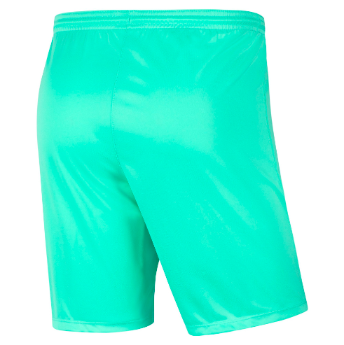 Nike Dri-FIT Park III Shorts türkis