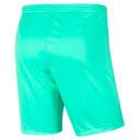 Nike Dri-FIT Park III Shorts türkis