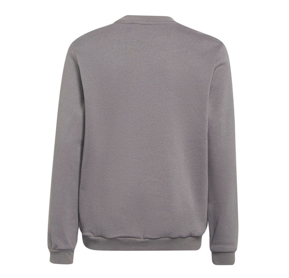 adidas_Entrada_22_Sweatshirt_grau_Kinder_232279211KTT03_1.jpg