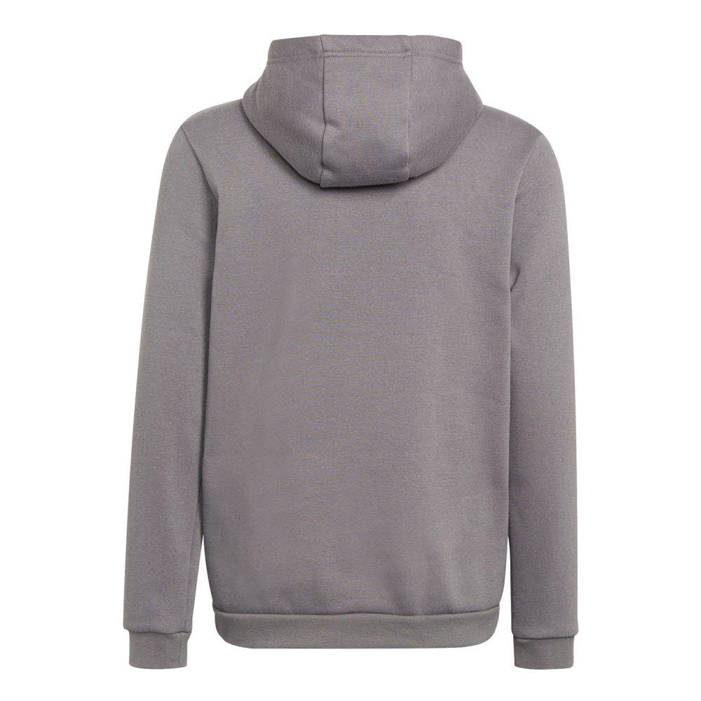 adidas_Entrada_22_Sweat_Hoodie_Kapuzenpullover_grau_Kinder_232299017KTT03_1.jpg