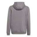 adidas_Entrada_22_Sweat_Hoodie_Kapuzenpullover_grau_Kinder_232299017KTT03_1.jpg