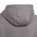 adidas_Entrada_22_Sweat_Hoodie_Kapuzenpullover_grau_Kinder_232299017KTT03_3.jpg