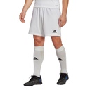 adidas_Entrada_22_Shorts_weiss_Herren_232911318TEA01_4_1.jpg