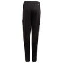 adidas_Squadra_21_Trainingshose_schwarz_Herren_232937086TEA01_1_2.jpg