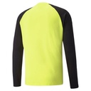 Puma_teamPACER_Torwarttrikot_Langarm_gelb_Kinder_232129045A1211_1.jpg