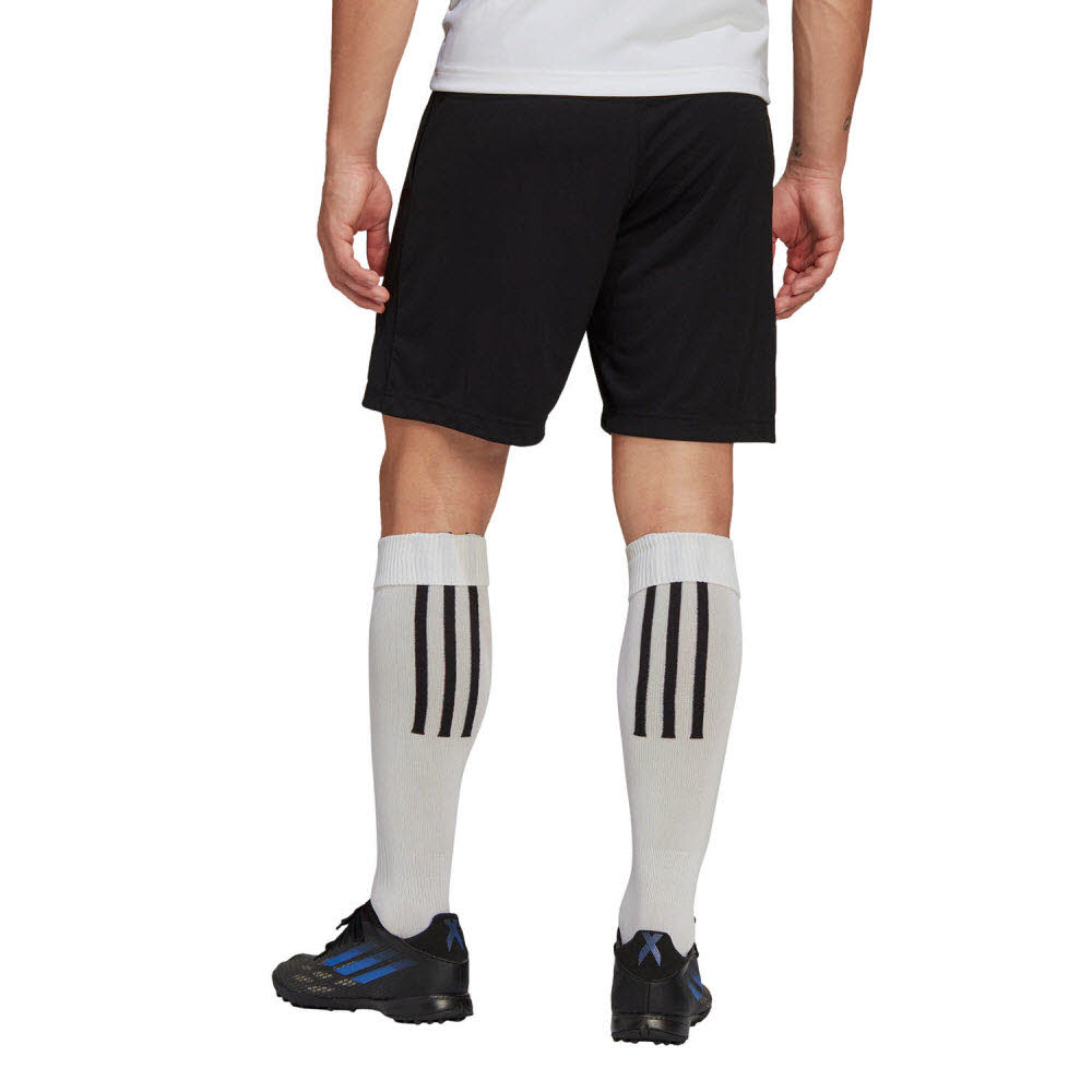 adidas_Entrada_22_Training_Shorts_schwarz_Herren_232911305TEA01_6_2.jpg