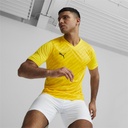 Puma_teamUltimate_Trikot_gelb_Herren_232124515PU603_2.jpg