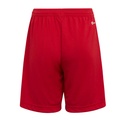adidas_Entrada_22_Shorts_rot_Kinder_232913168A3201_1.jpg
