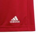 adidas_Entrada_22_Shorts_rot_Kinder_232913168A3201_4.jpg