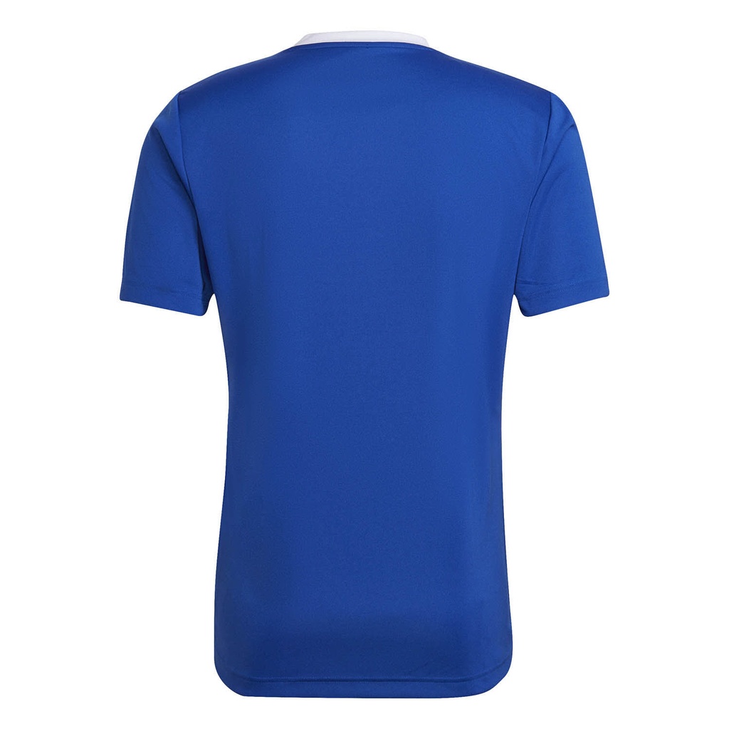 Adidas entrada shops trikot