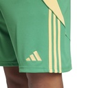 adidas Tiro 24 Shorts grün