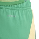 adidas Tiro 24 Shorts grün