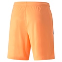 Puma teamLIGA Shorts orange