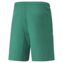 Puma teamLIGA Shorts grün