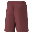 Puma teamLIGA Shorts dunkelrot