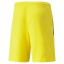 Puma teamLIGA Shorts gelb