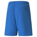 Puma teamLIGA Shorts blau