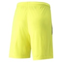 Puma teamLIGA Shorts gelb