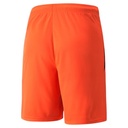 Puma teamLIGA Shorts rot