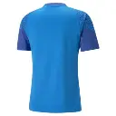 Puma teamCUP Trikot blau