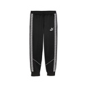 Puma teamKing Anthem Trainingshose schwarz 