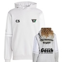 TSV Burgdorf Hoodie grau 