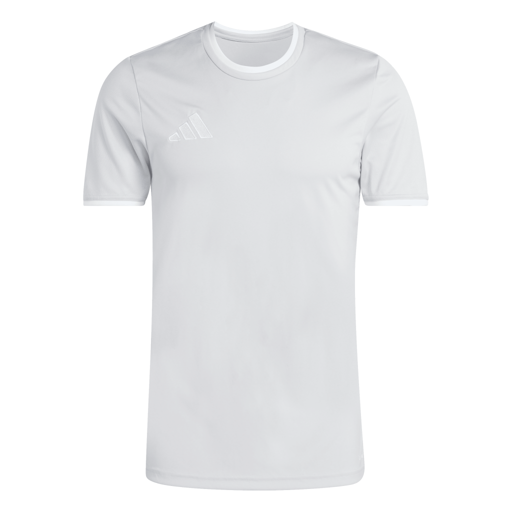 adidas Entrada 26 Trikot grau 