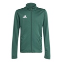 adidas Entrada 26 Trainingsjacke grün Kinder 
